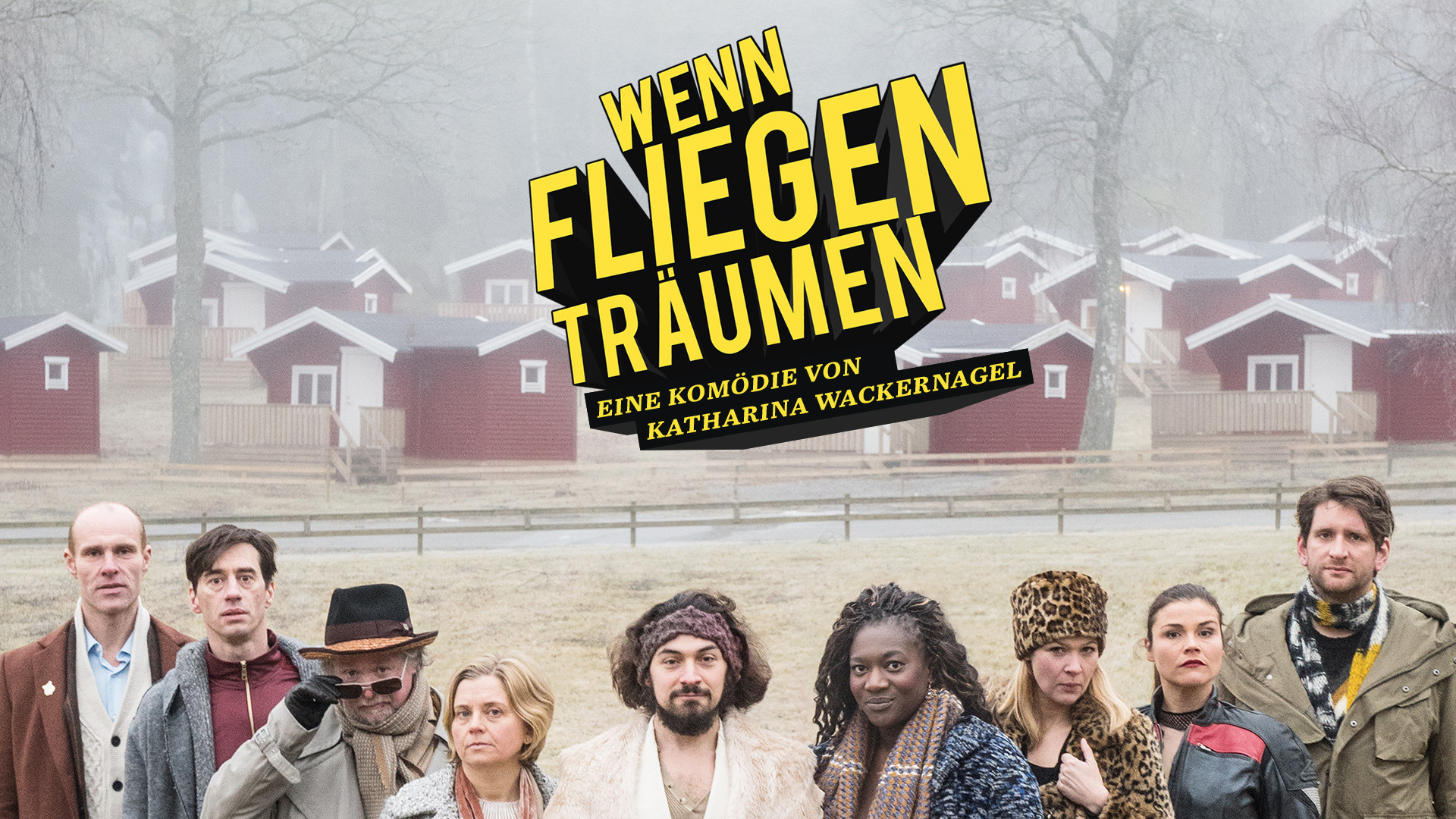 Wenn Fliegen Träumen