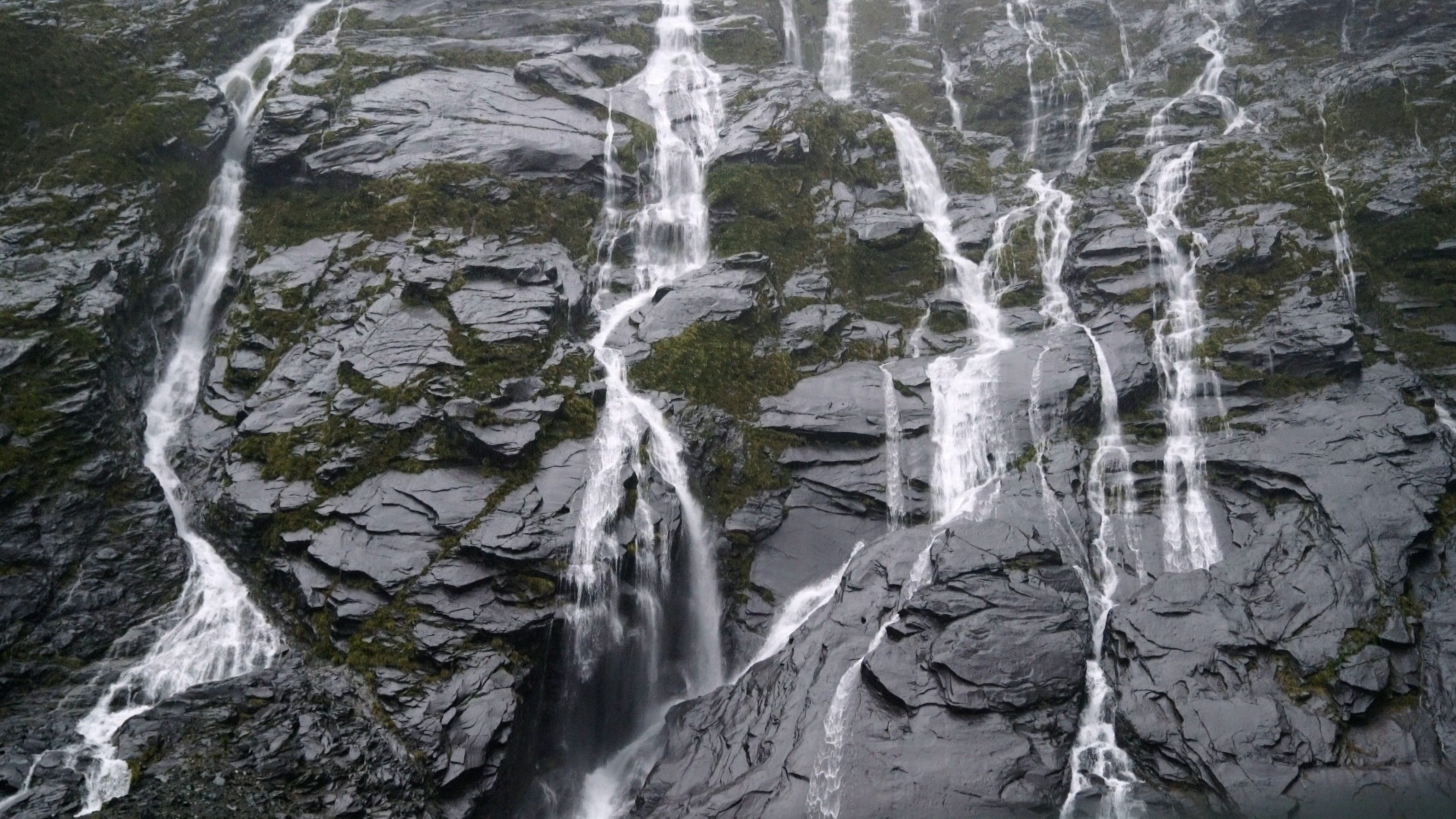 Restful Rain in New Zealand