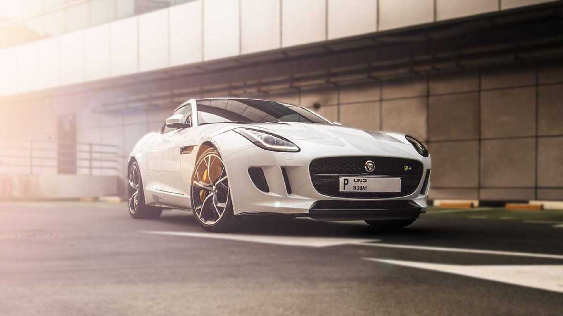 Ponga su carro en la TV