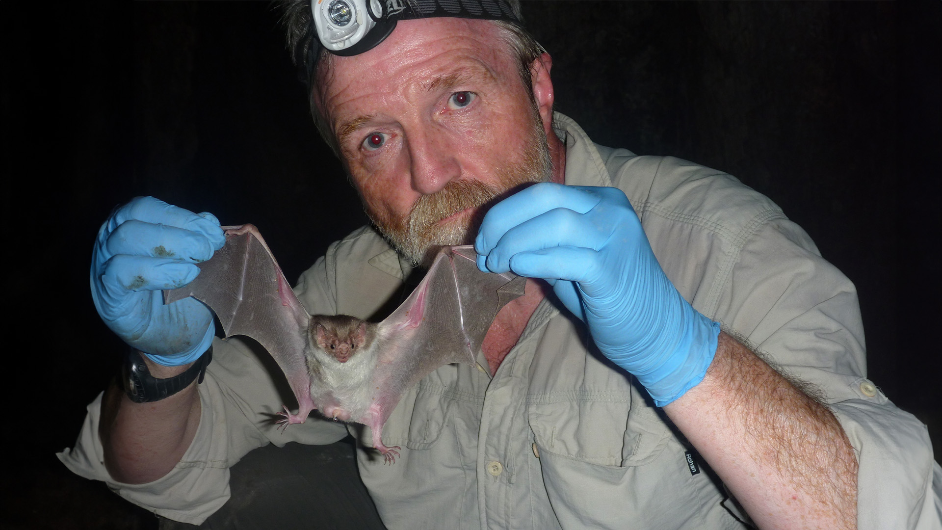 Geheimnisse der Nacht