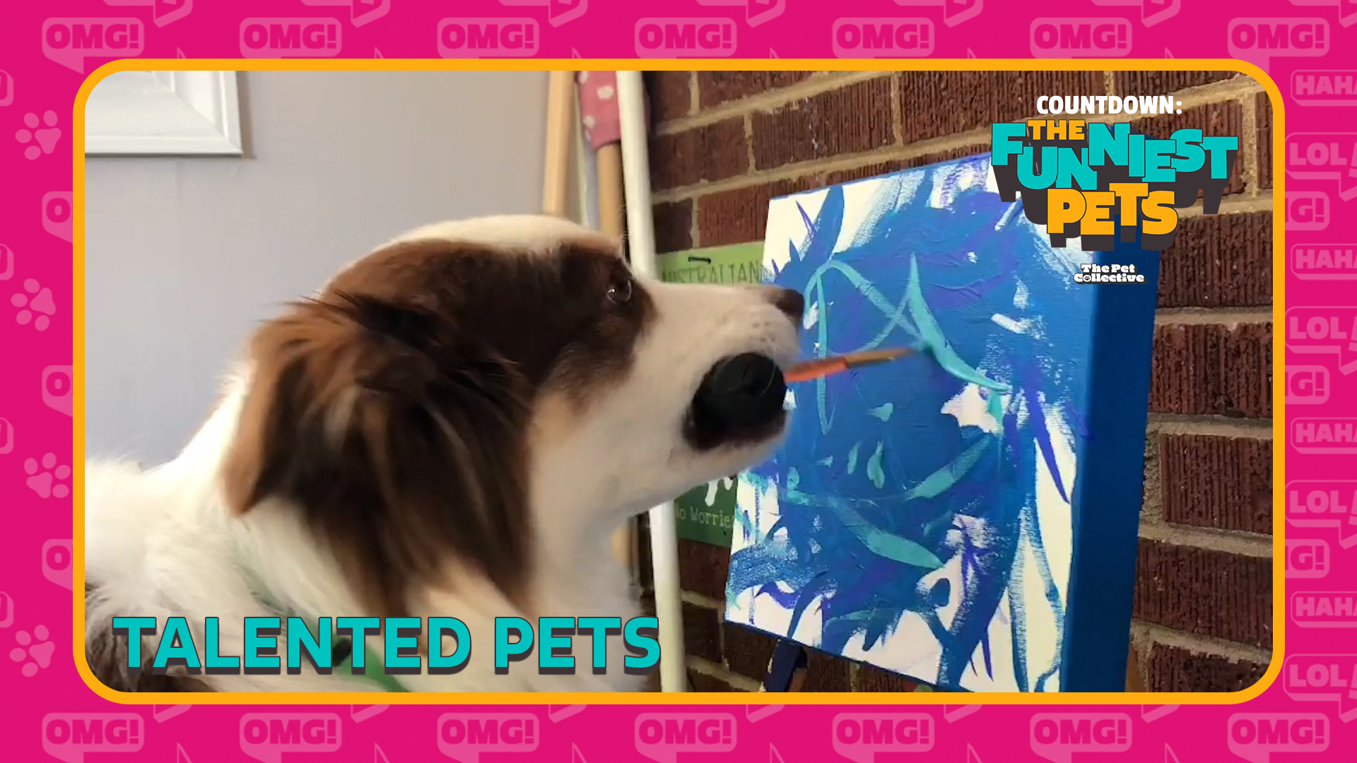 Countdown: The Funniest Pets