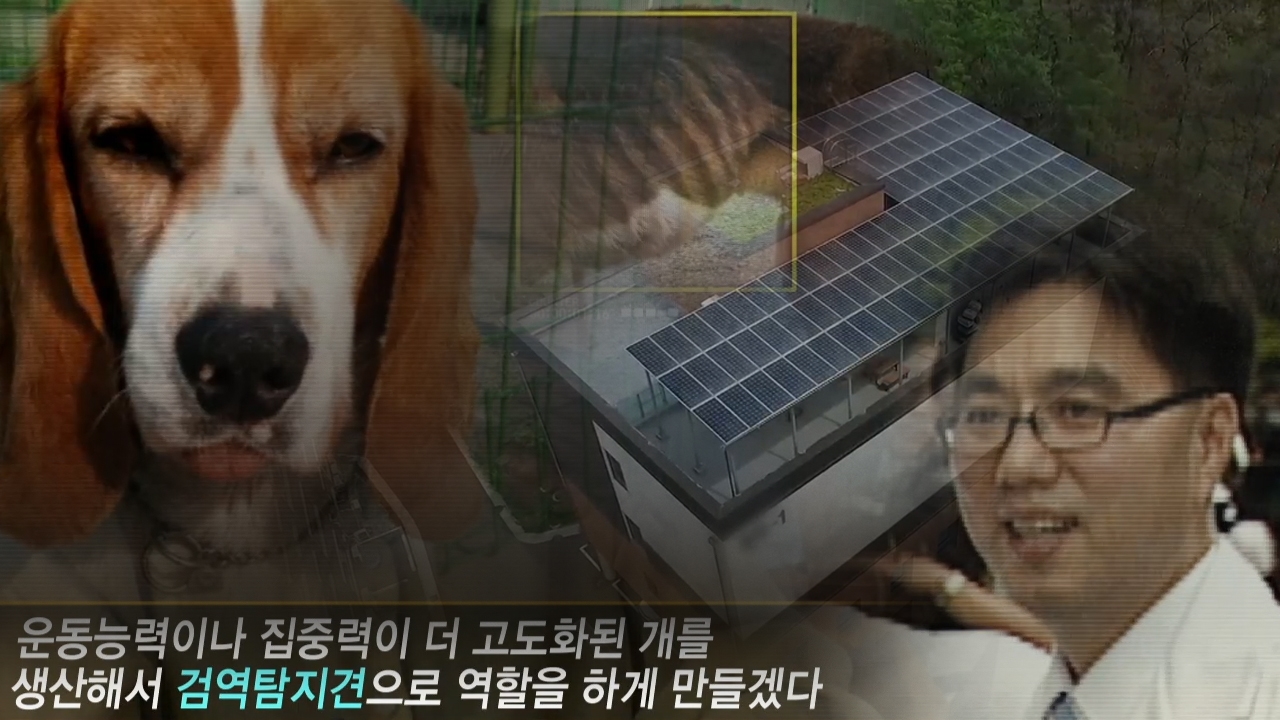 그것이 알고싶다 1168회