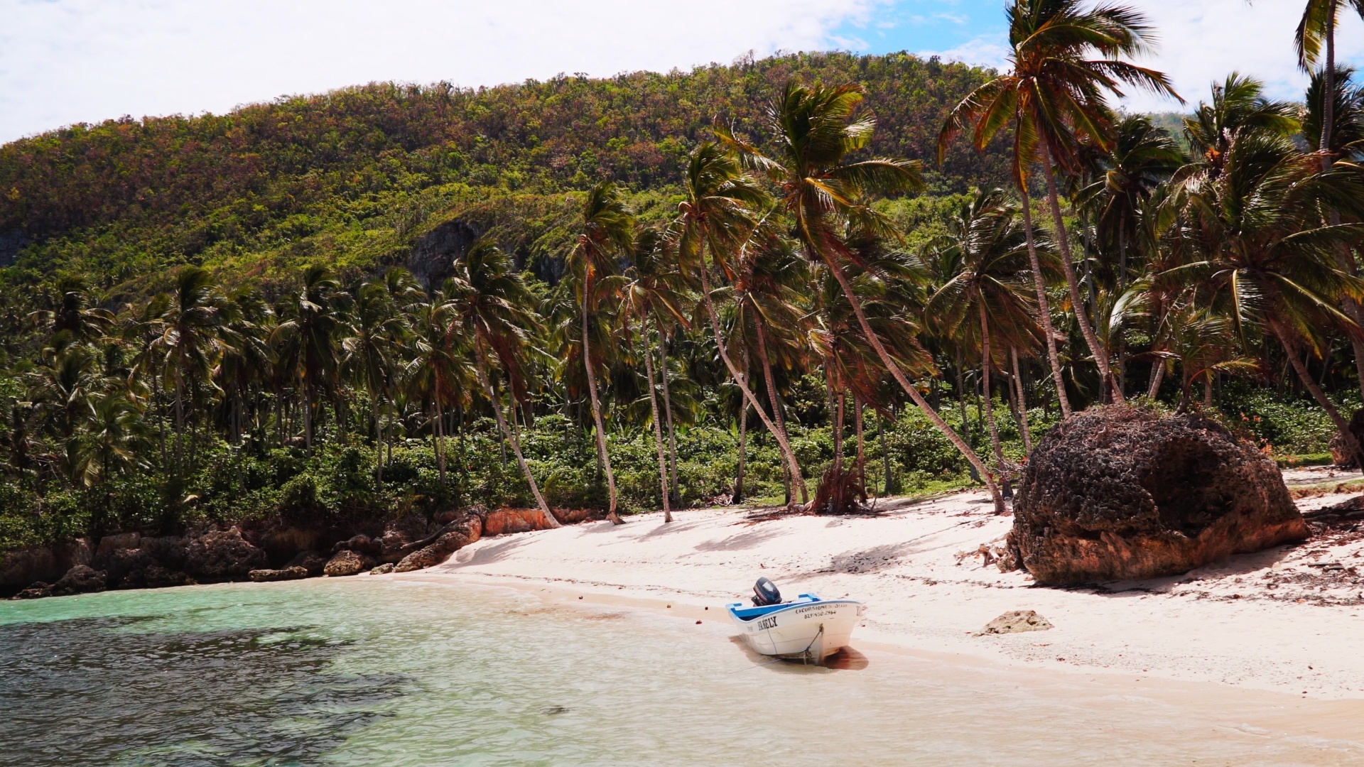 Tropical Beach: Dominican Republic