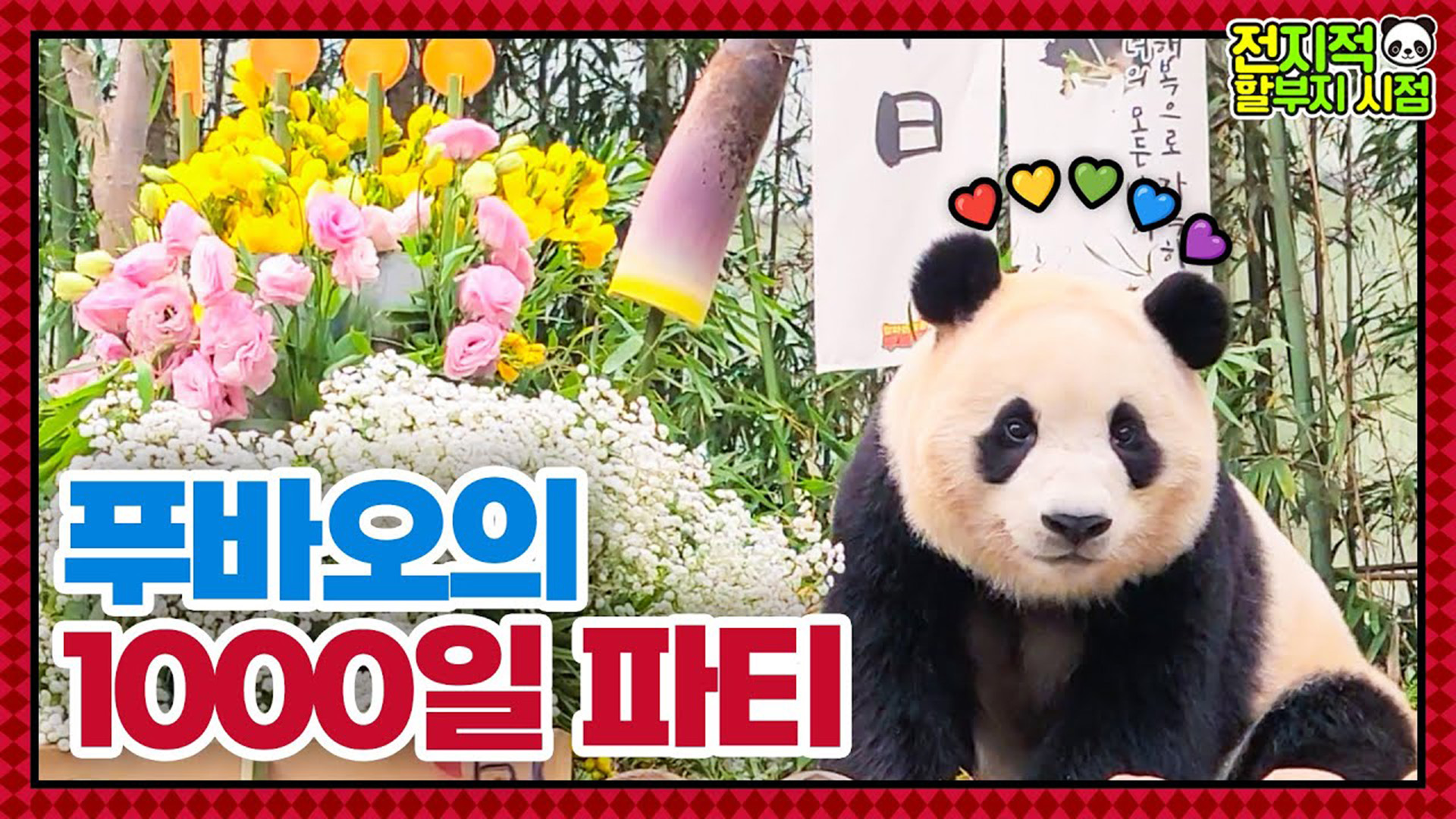 “너의 모든 날이 행복으로 가득하길” 98kg 자이언트베이비 푸바오 1000일 되는 날