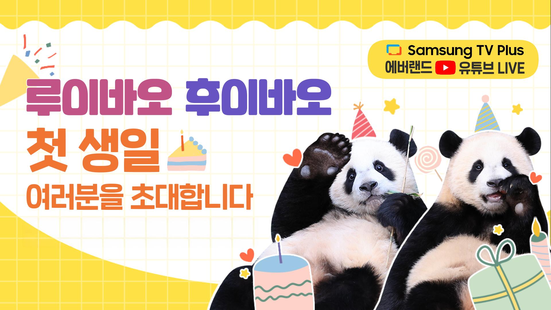 루이바오와 후이바오의 돌잔치 다시보기 100회