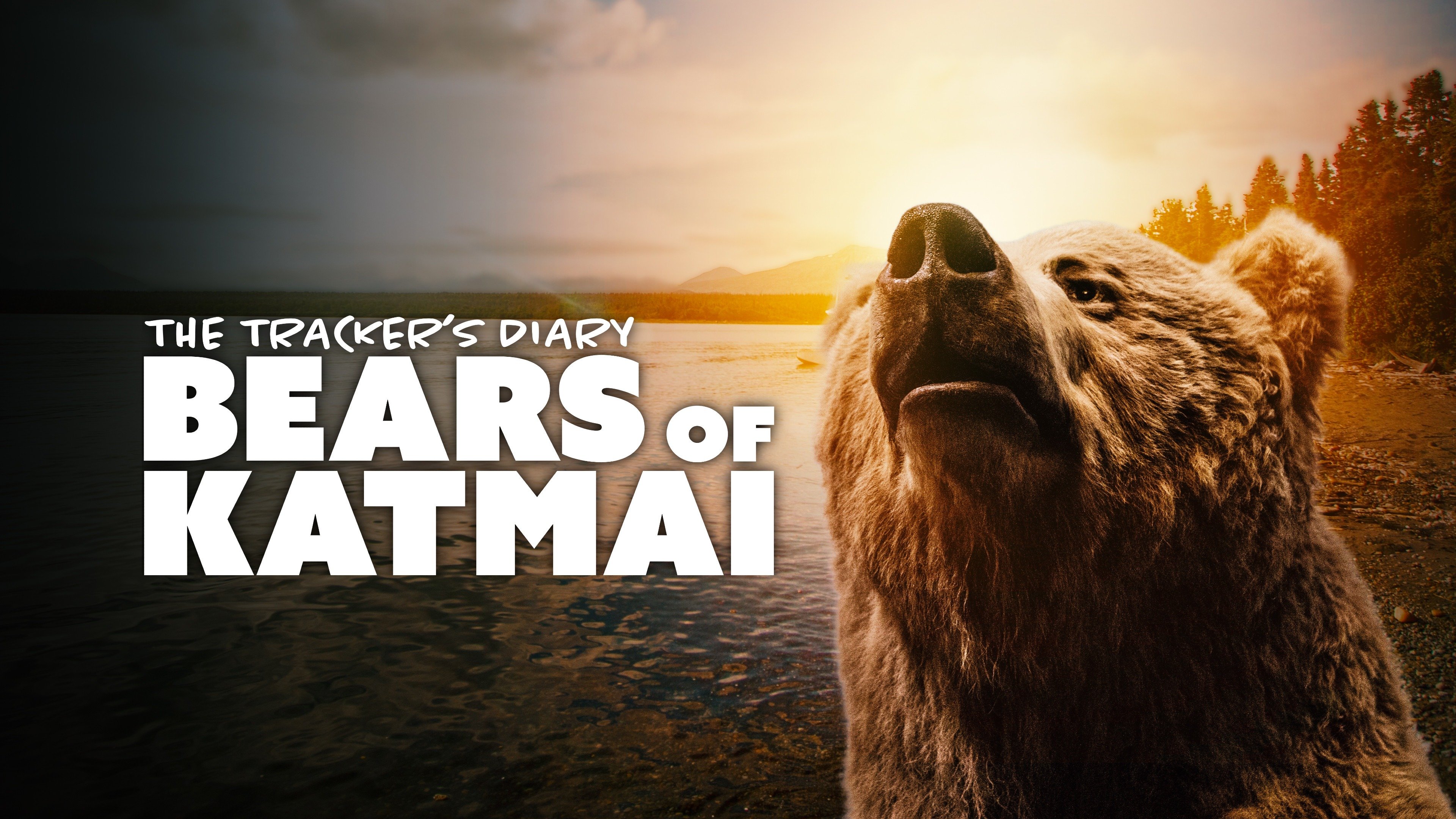 The Tracker's Diary: Bears of Katmai
