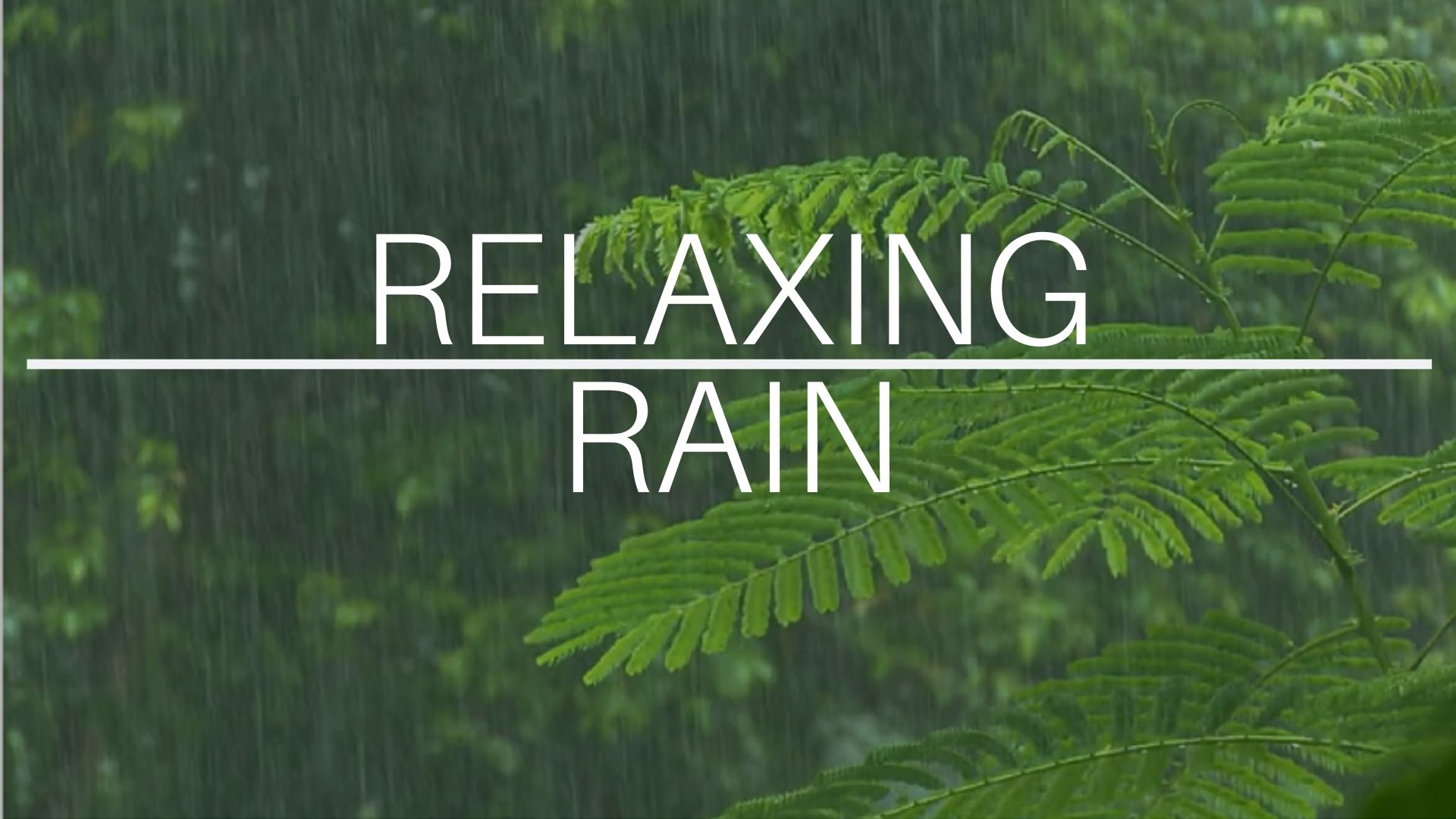 Relaxing Rain