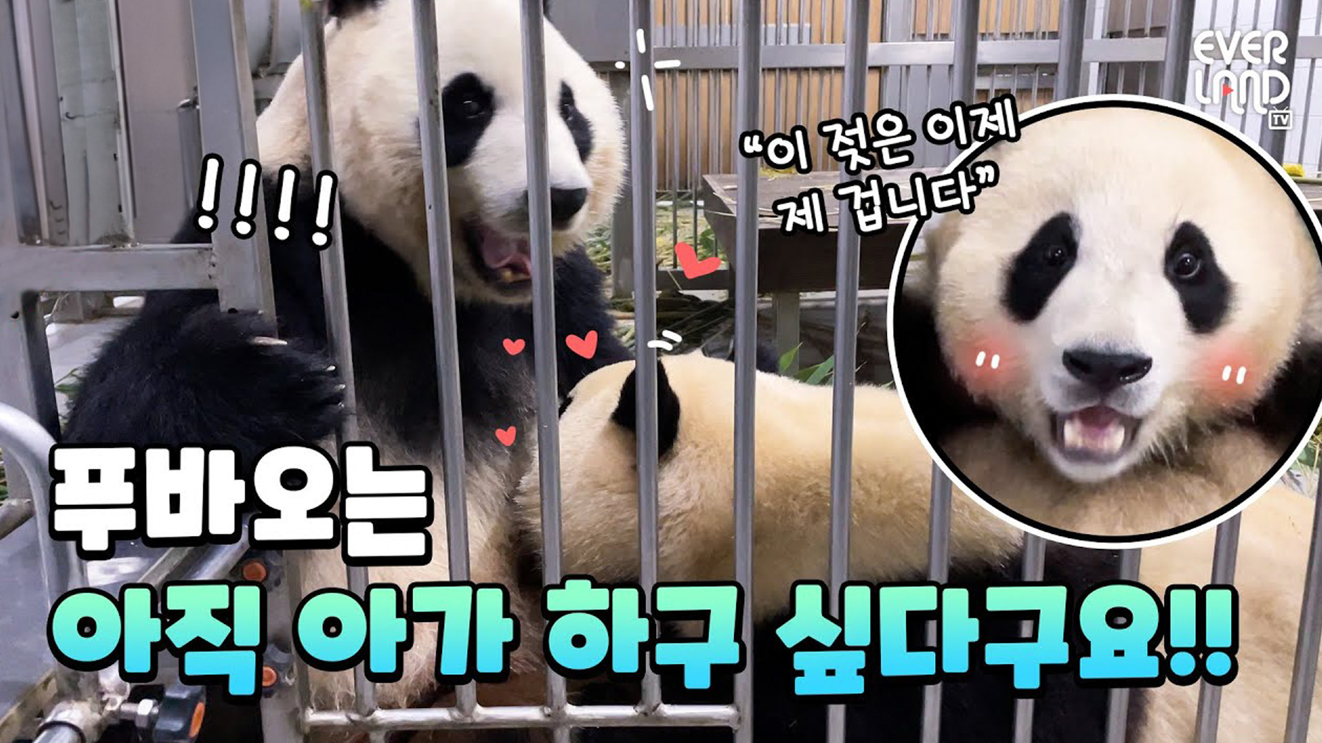 포유와 먹방을 한 번에 샤샥! 모녀의 내실생활 46회