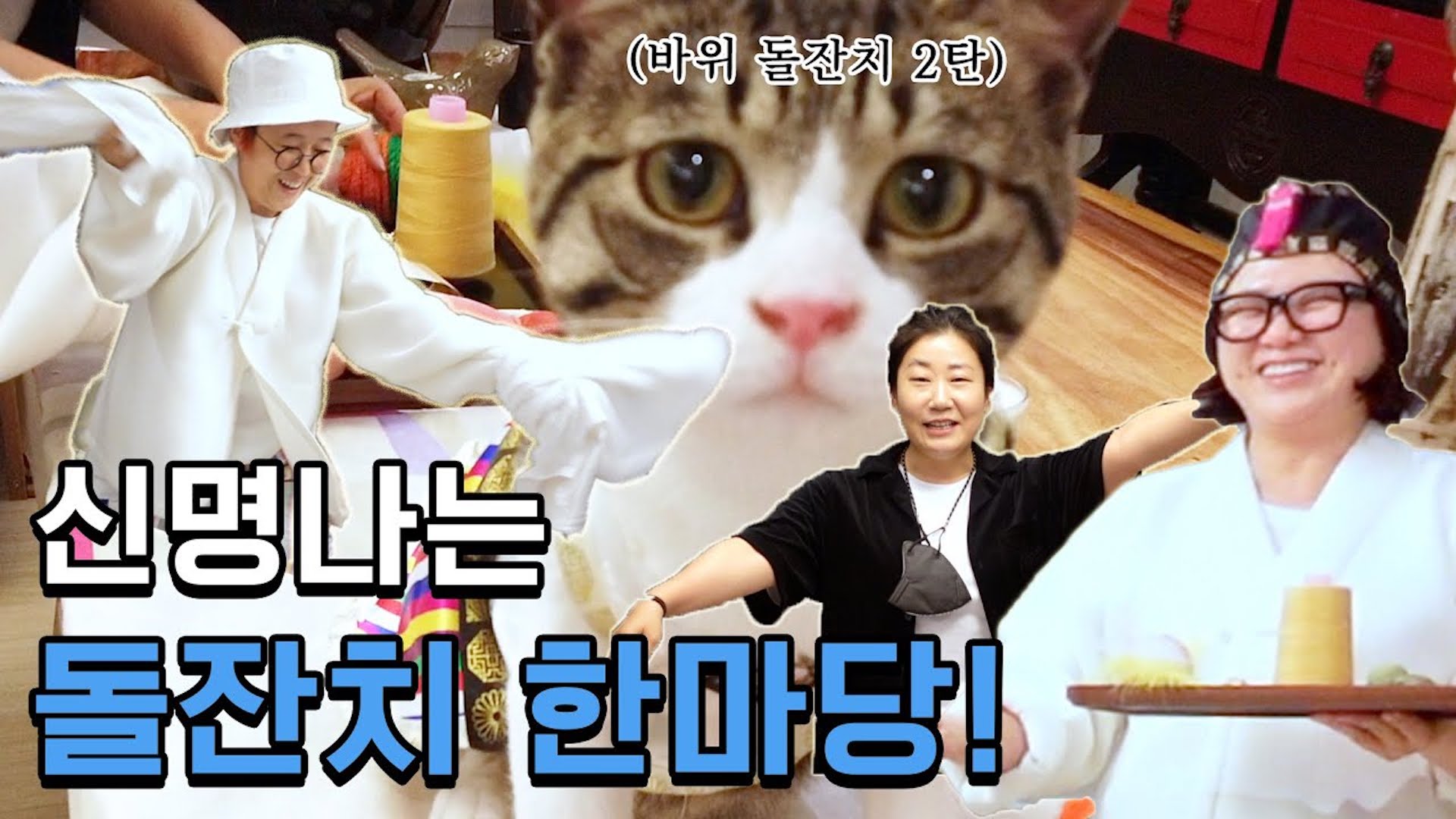 고양이 돌잔치 ep.02 🎂 ㅣ 돌잔치는 이용당했군요. 바위보다 더 신난 인간들