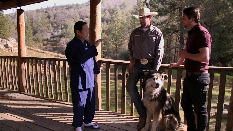 Extraordinary Humans