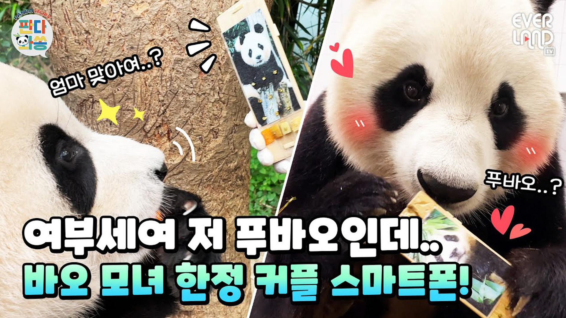 따르르릉~~!! 푸바오 전화 받으세여~ 56회