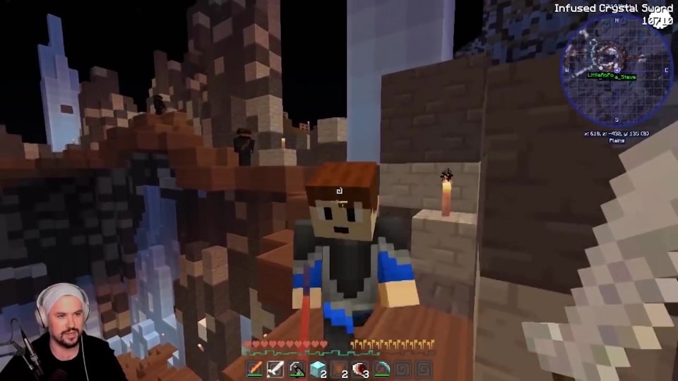 Tiny Turtle Minecraft Dragons