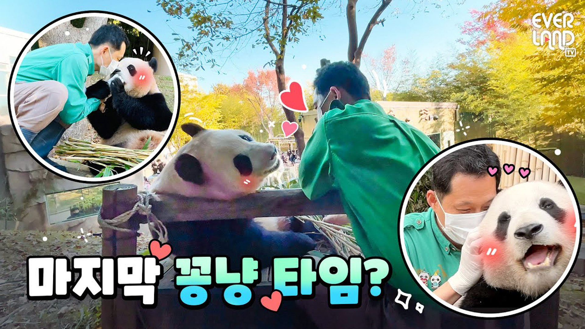 10월의 마지막 날 백마디 말보다 진~한 교감타임? 65회