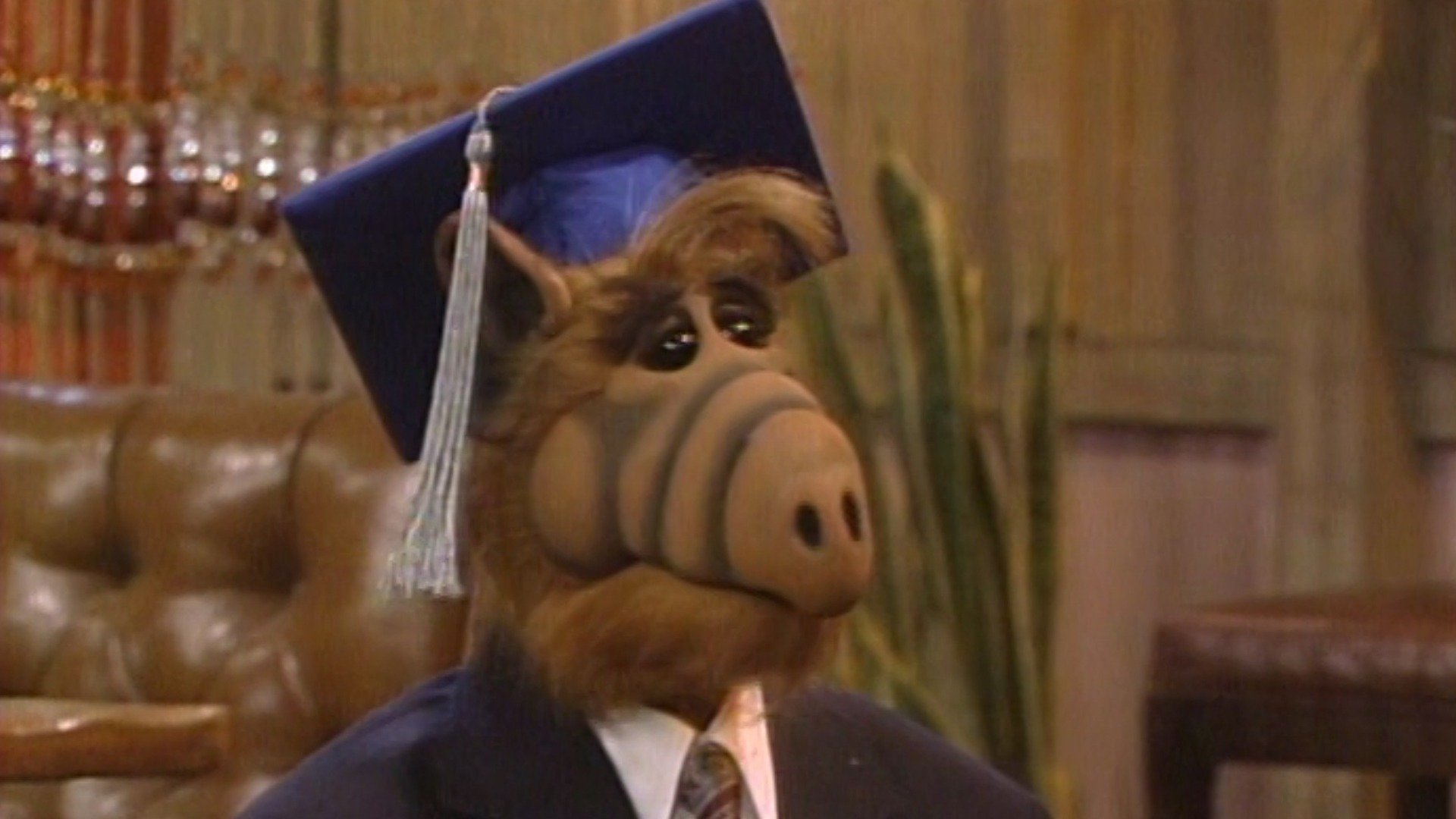 ALF