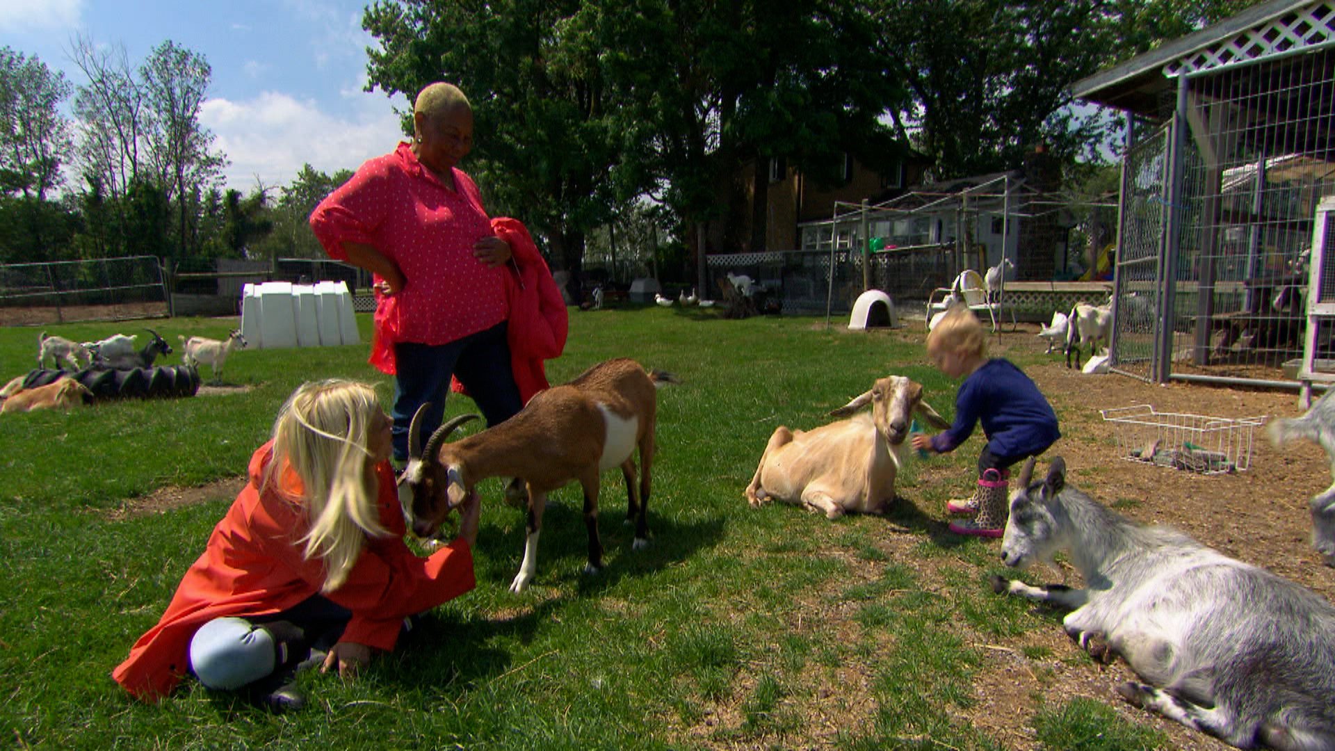 Tori & Dean: Cabin Fever