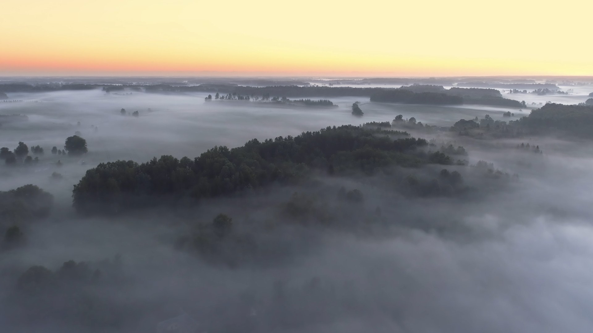 Garden of Eden (Music)