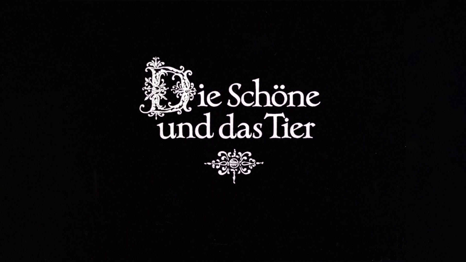 Die Schöne und das Tier