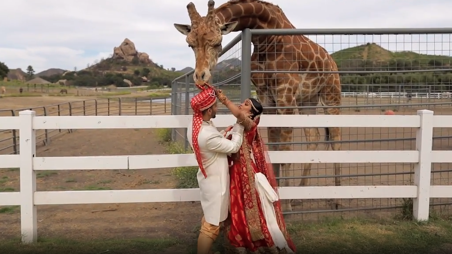 Best Fails of the Month