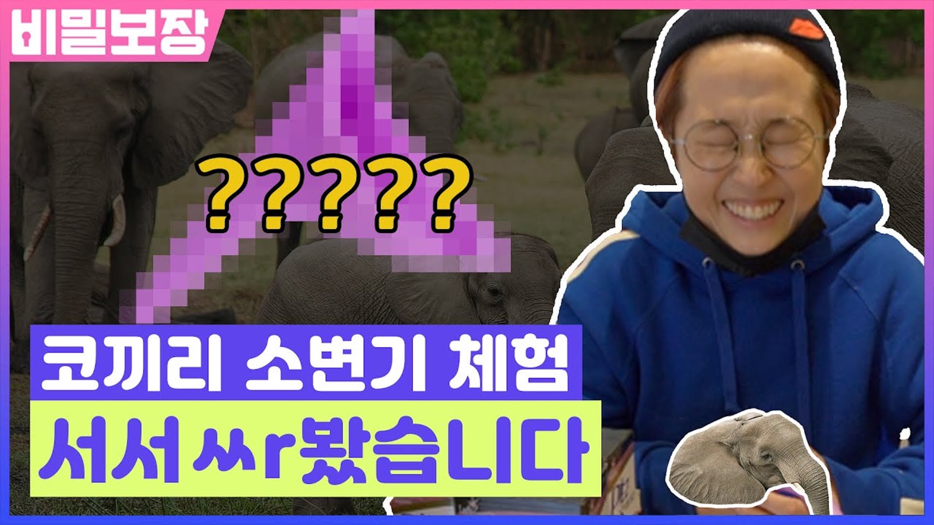 여성용 코끼리 소변기🐘 서서 볼일보다 현타 제대로 와버림..★| 송은이 김숙