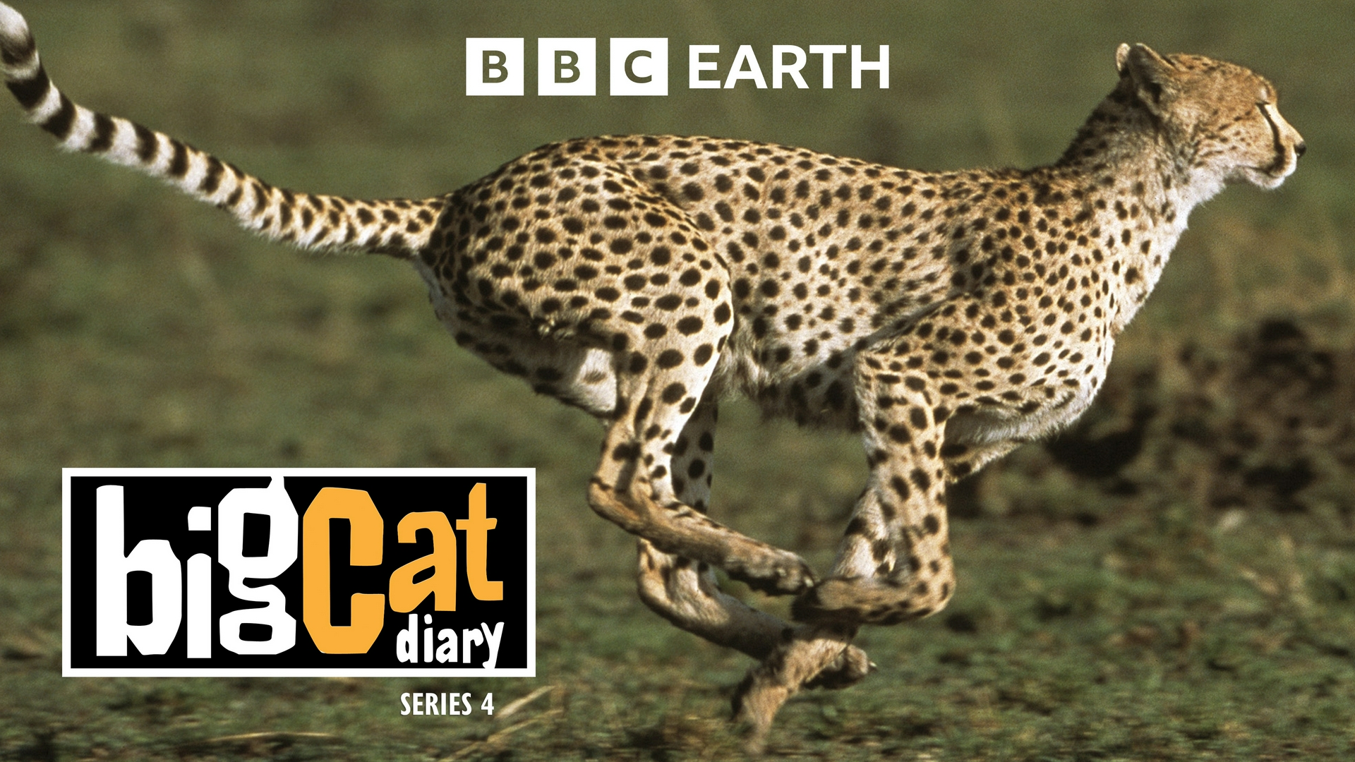 El diario de Big Cat Episodio 3