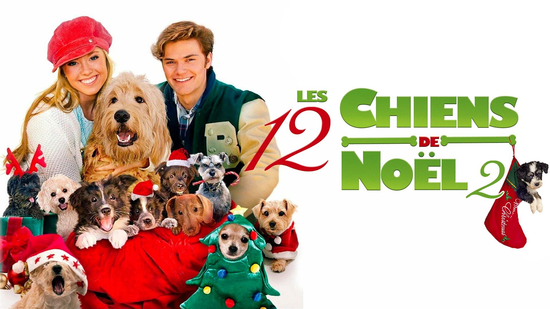 Les 12 Chiens de Noel 2