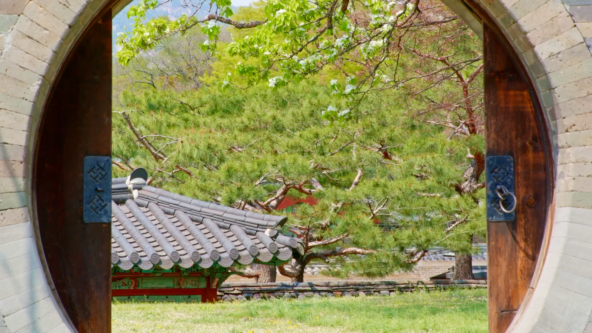 [궁궐 속 비밀의 화원] 창덕궁 낙선재 후원 EP.1