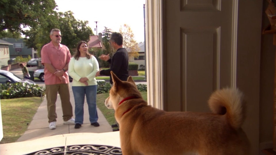 El encantador de perros