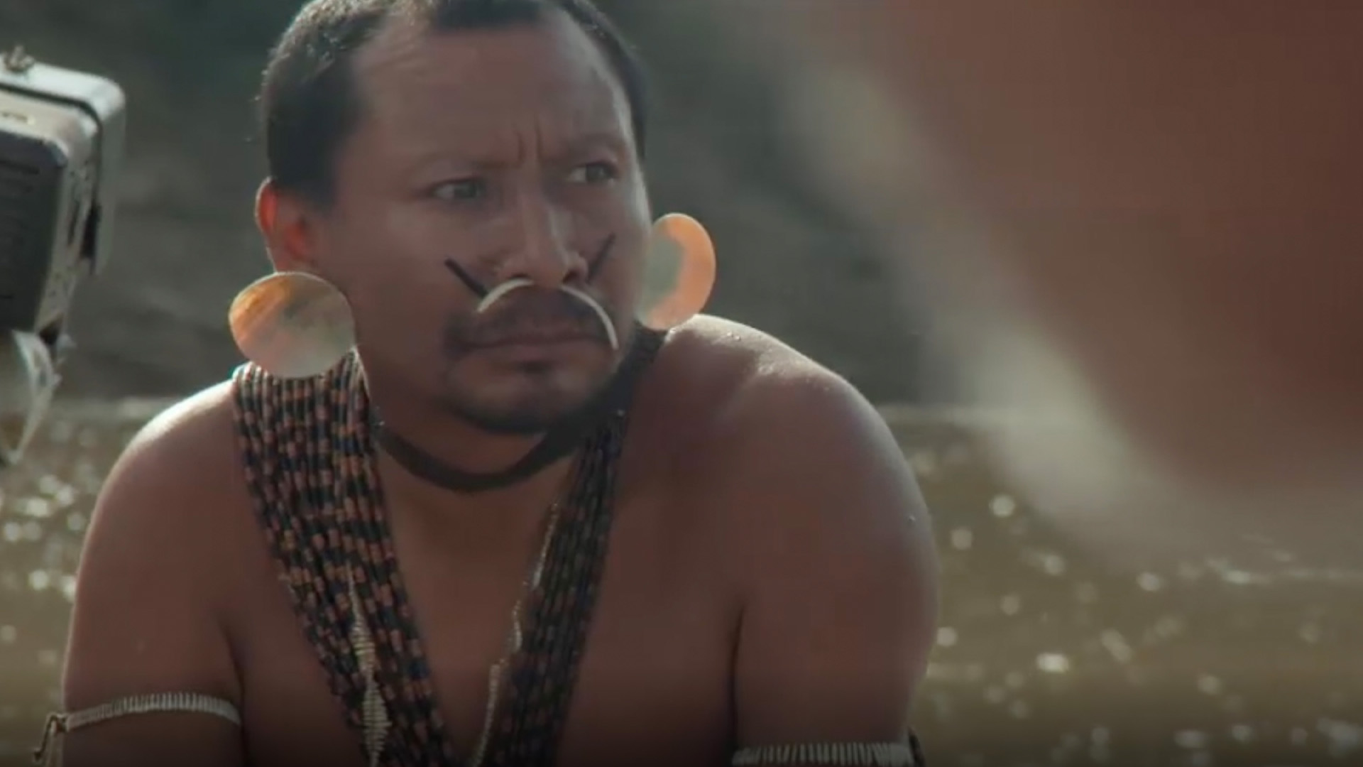 Im Wasser mit Zitteraalen