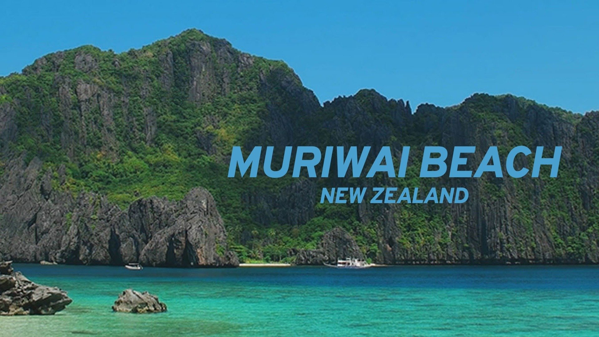 Muriwai Beach: New Zealand