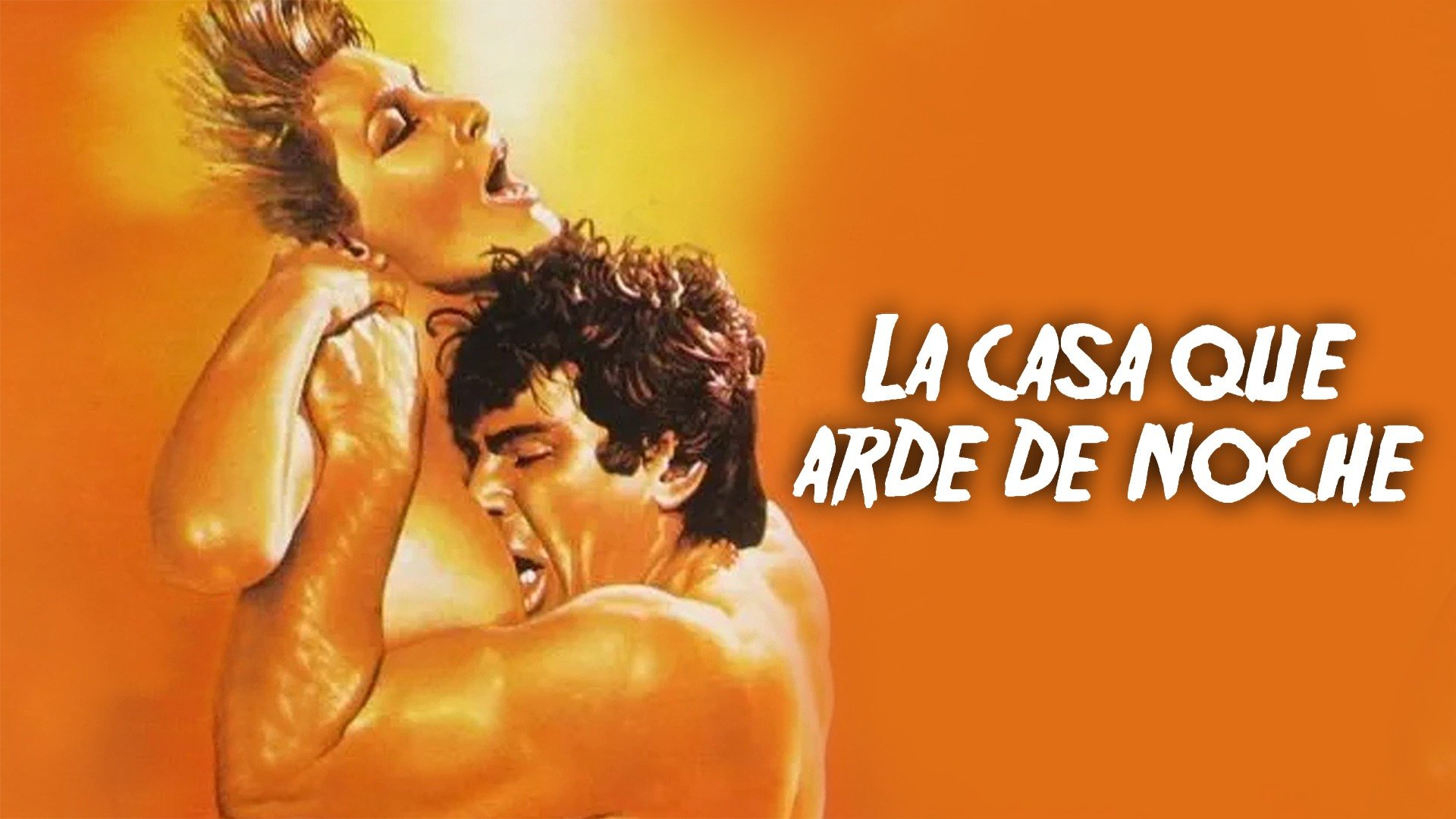 La casa que arde de noche