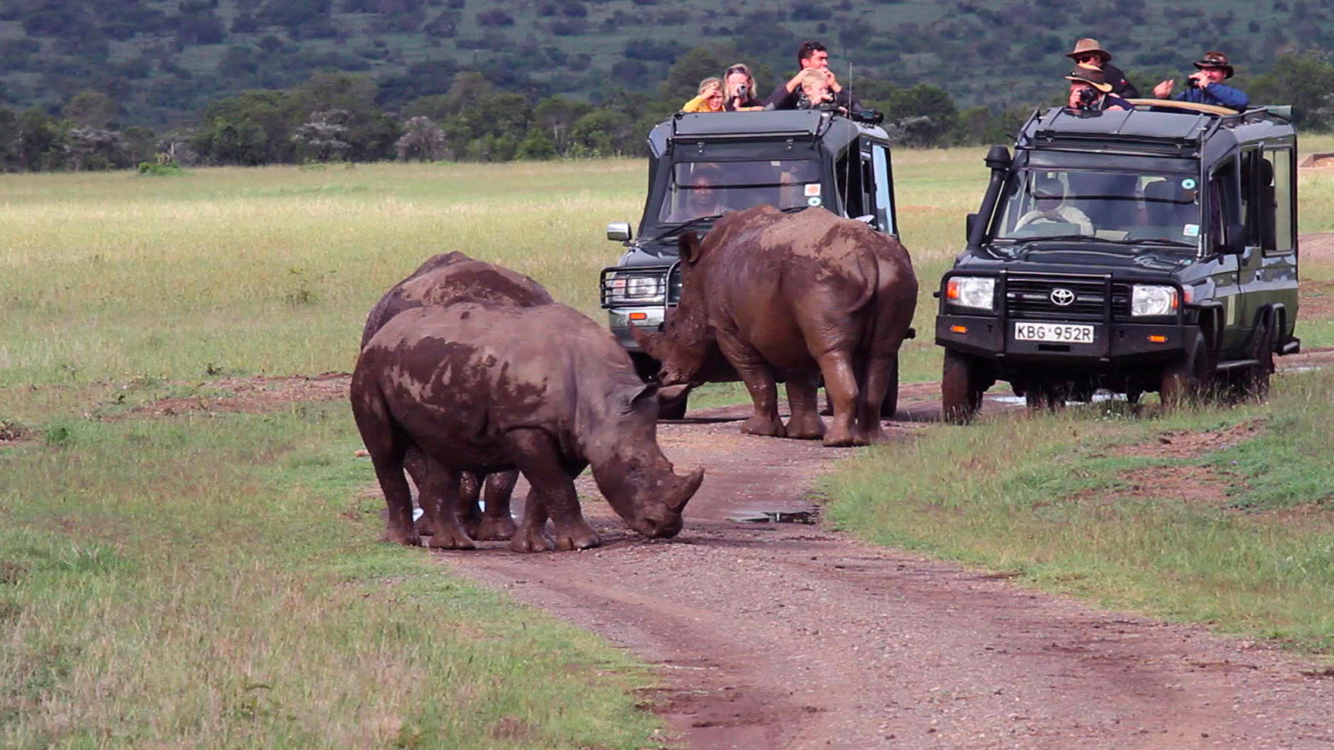 Diarios de OI Pejeta