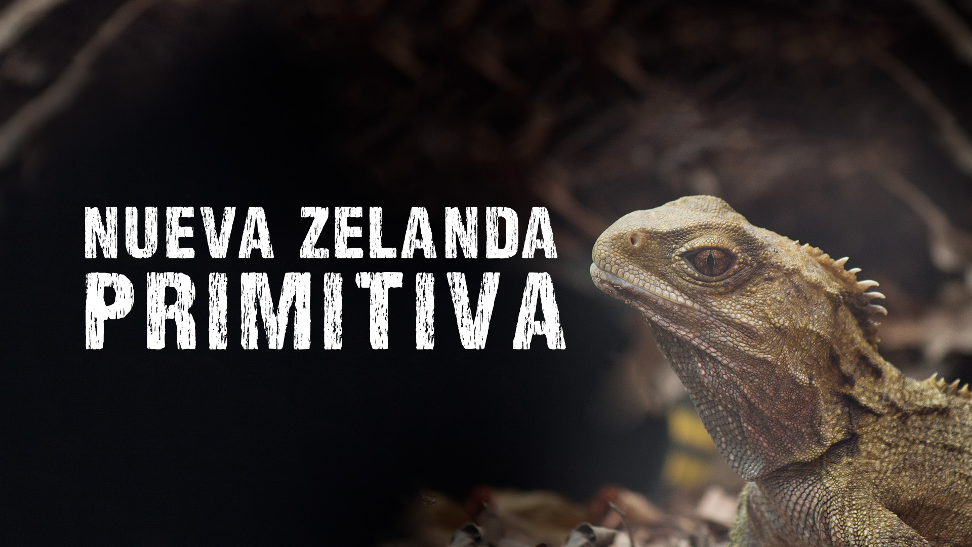 Nueva Zelanda primitiva