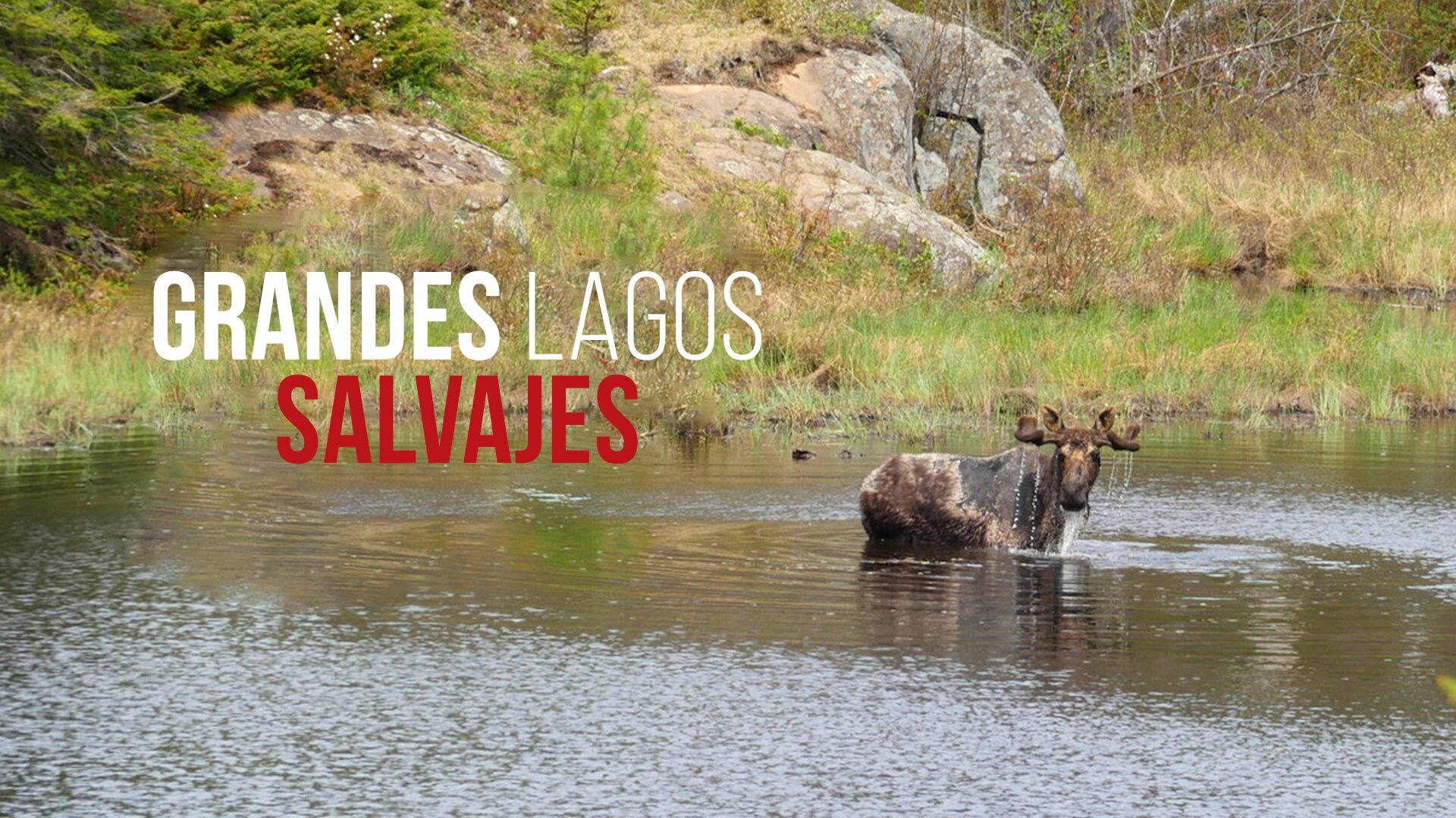 Grandes Lagos Salvajes