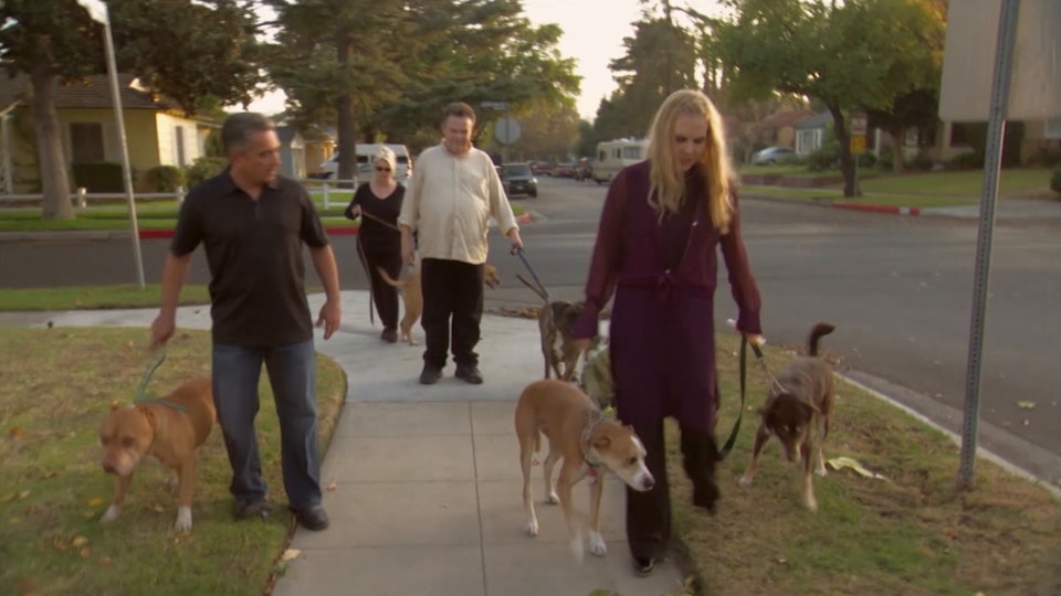 El encantador de perros