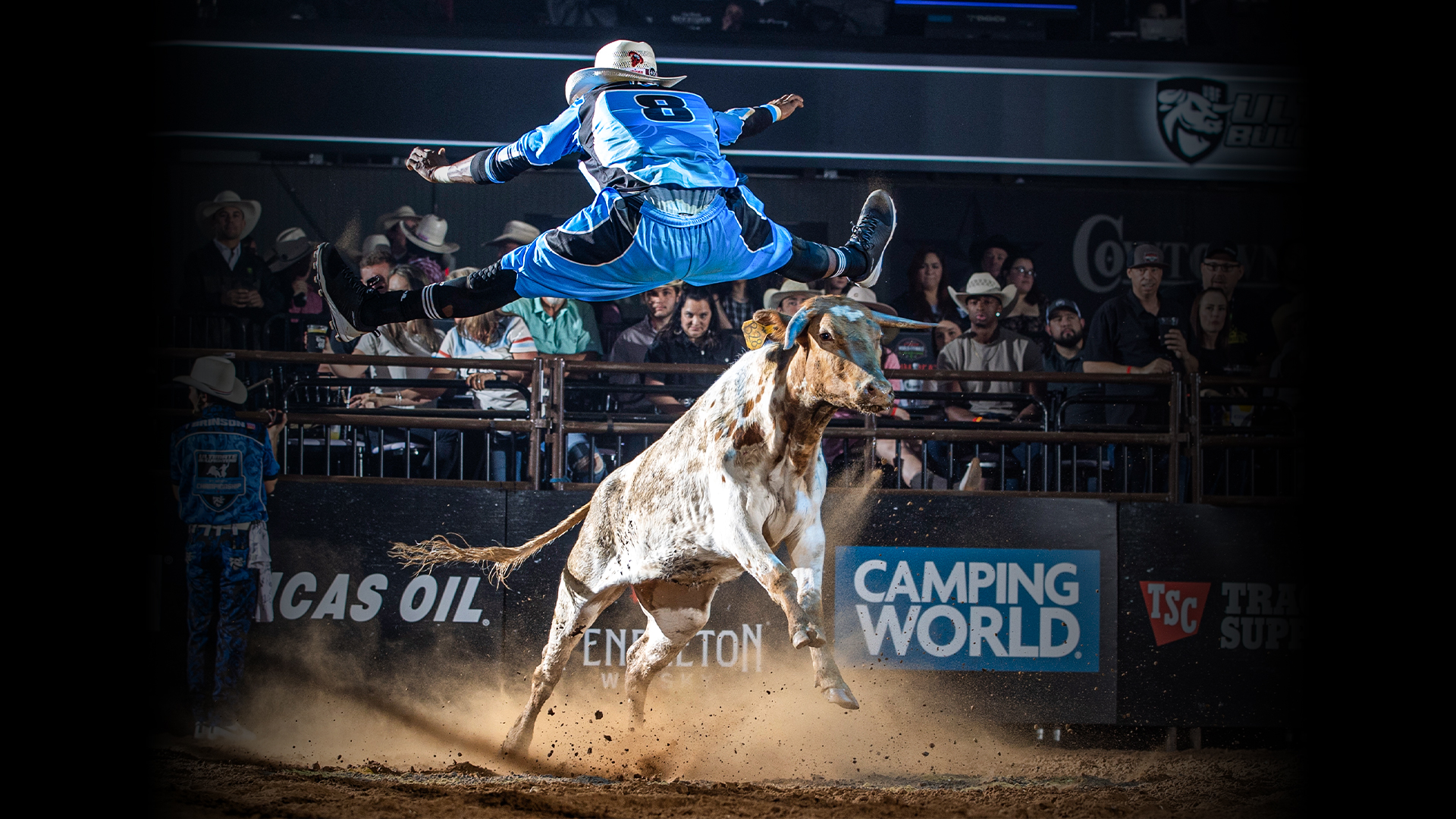 Ultimate Bullfighters