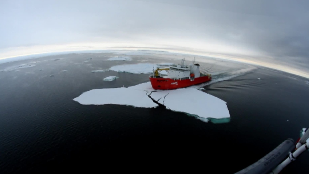 Extreme Mission in Antarctica: Construction of an Antarctic Station