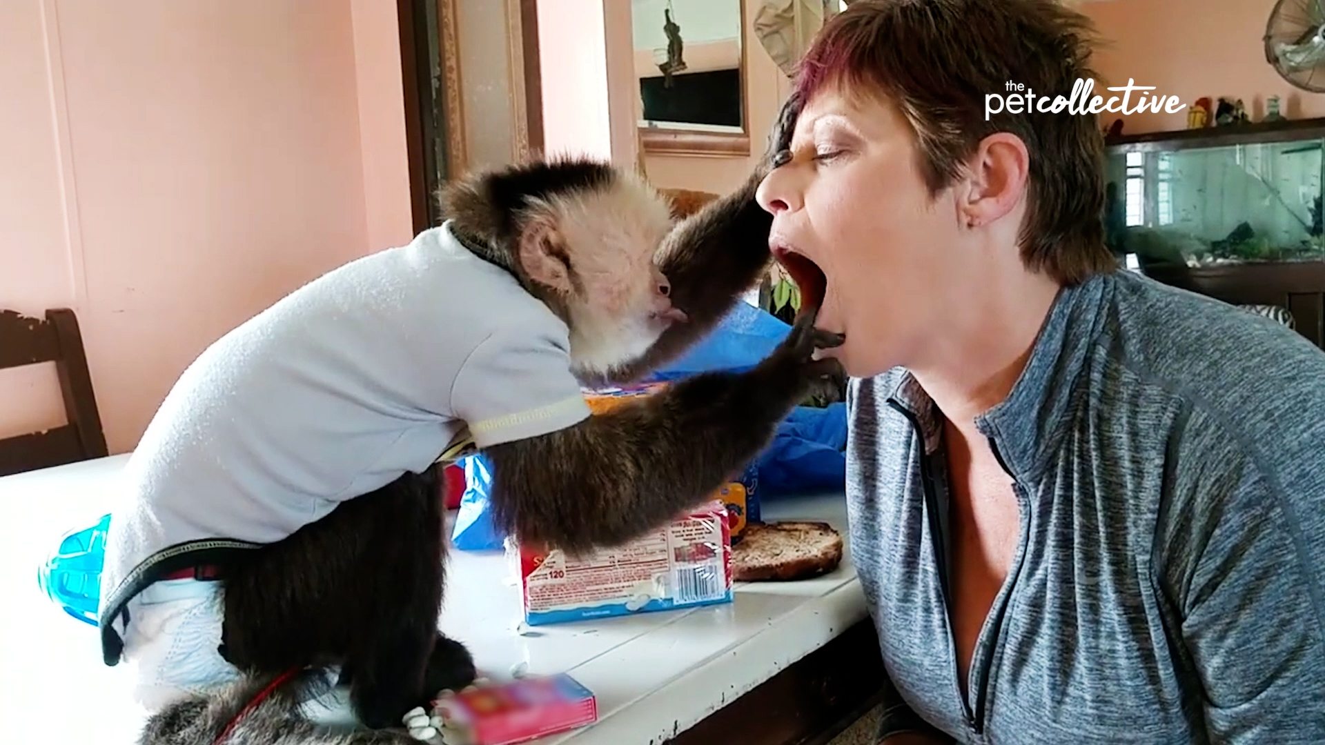 Best Pets of the Month