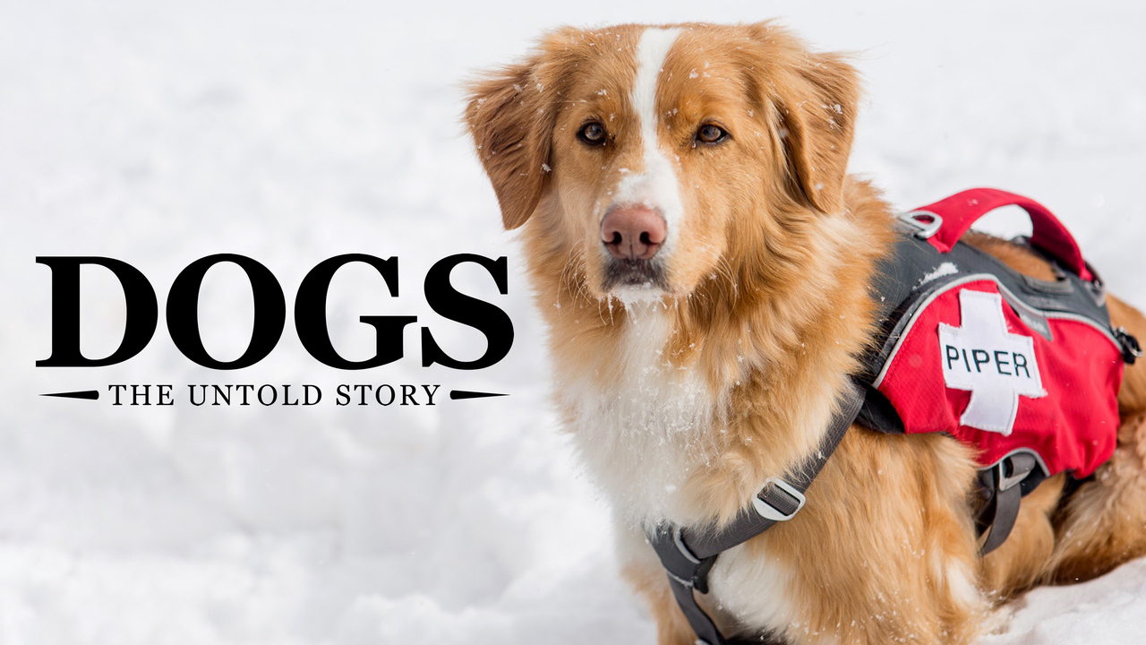 Dogs: The Untold Story: Wild Survivors