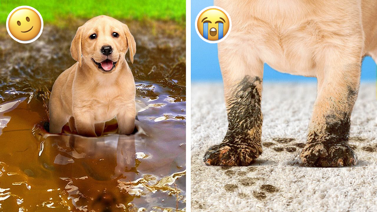 Los mejores trucos de limpieza que harán tu vida más fácil