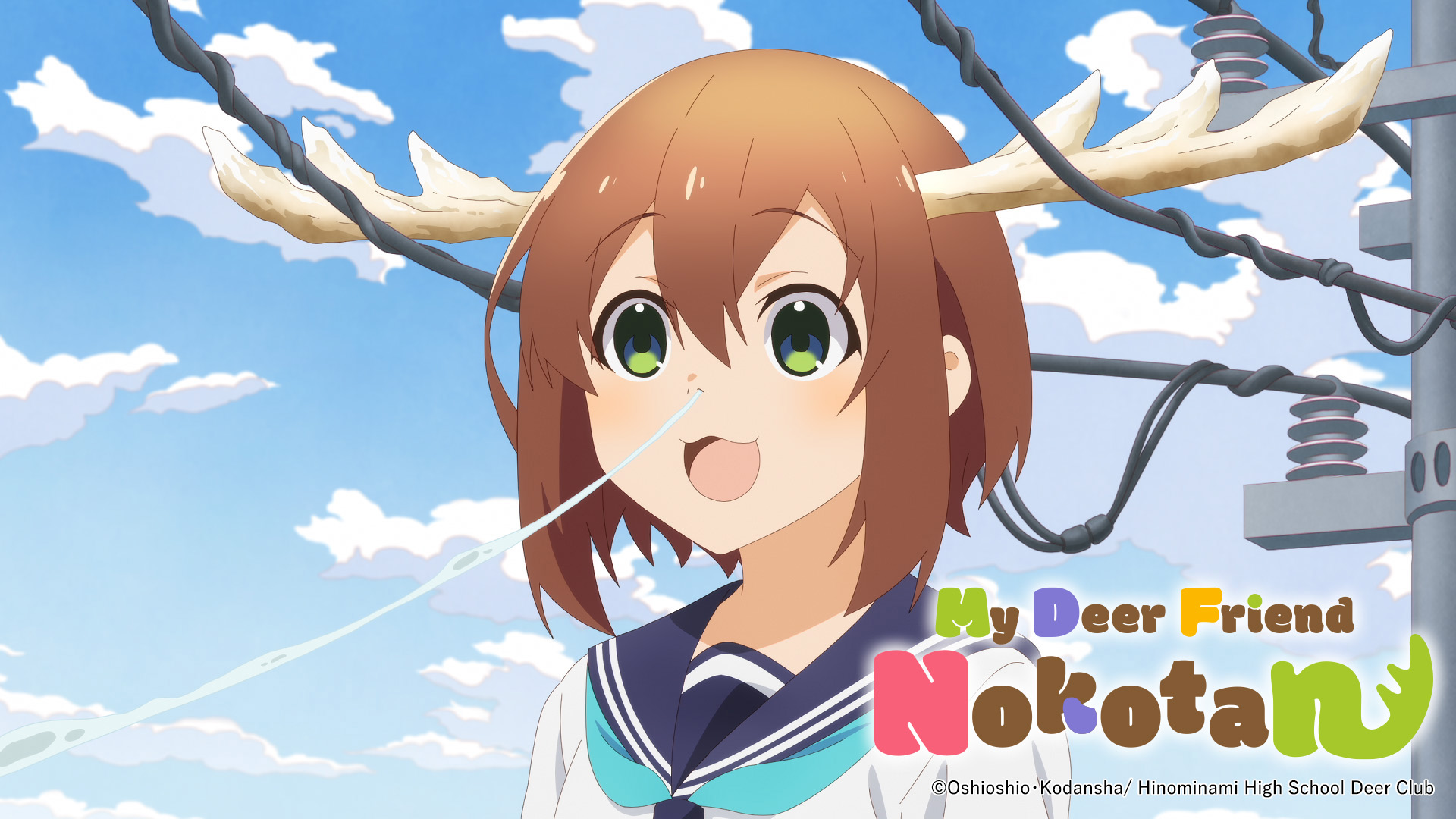 My Deer Friend Nokotan (English Dub)