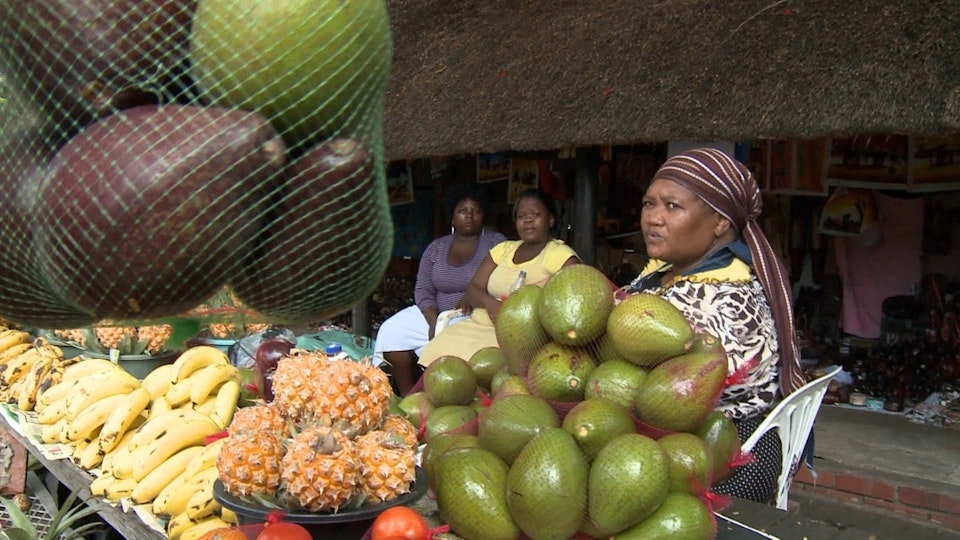 Africa From Cape To Kruger