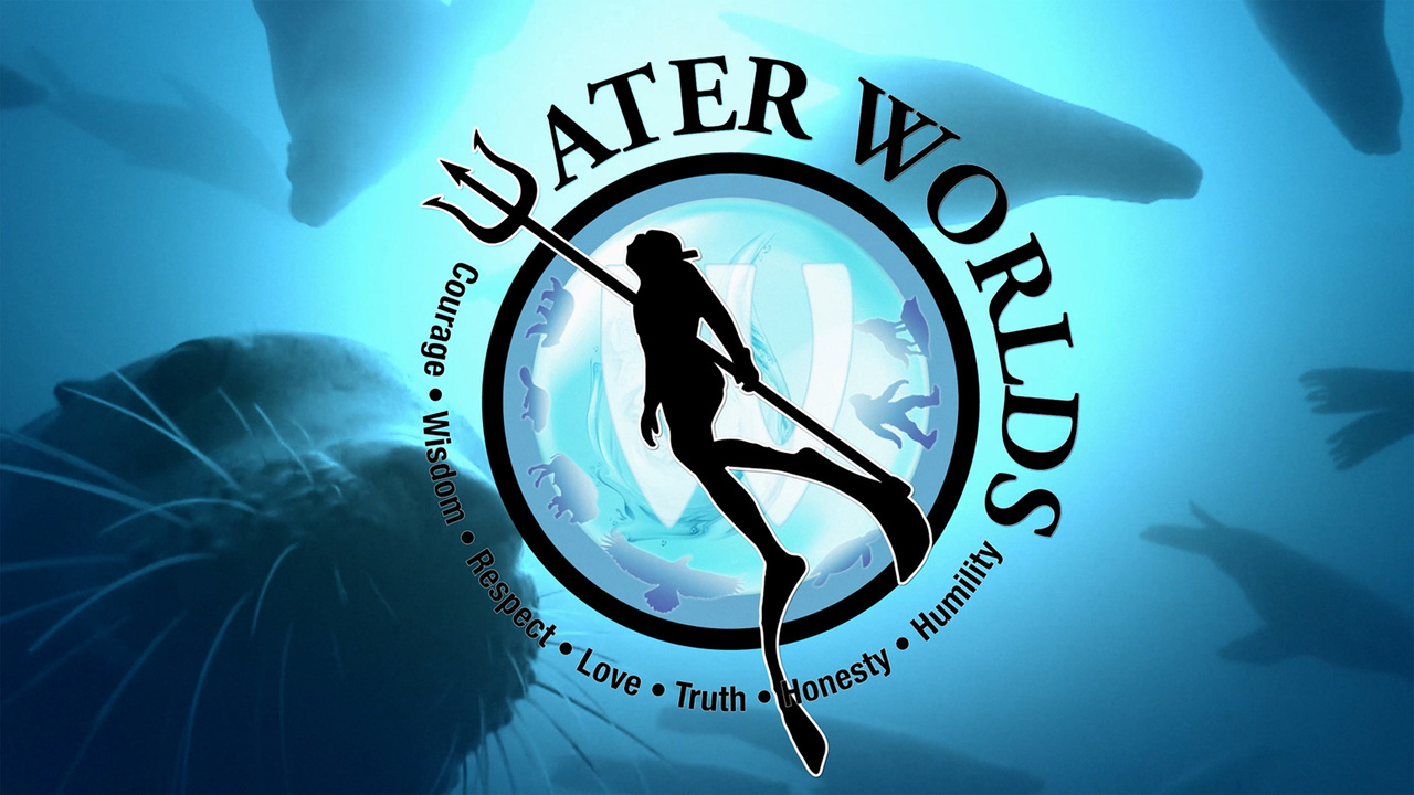 Water Worlds: Finding Balance (Artificial Reefs)