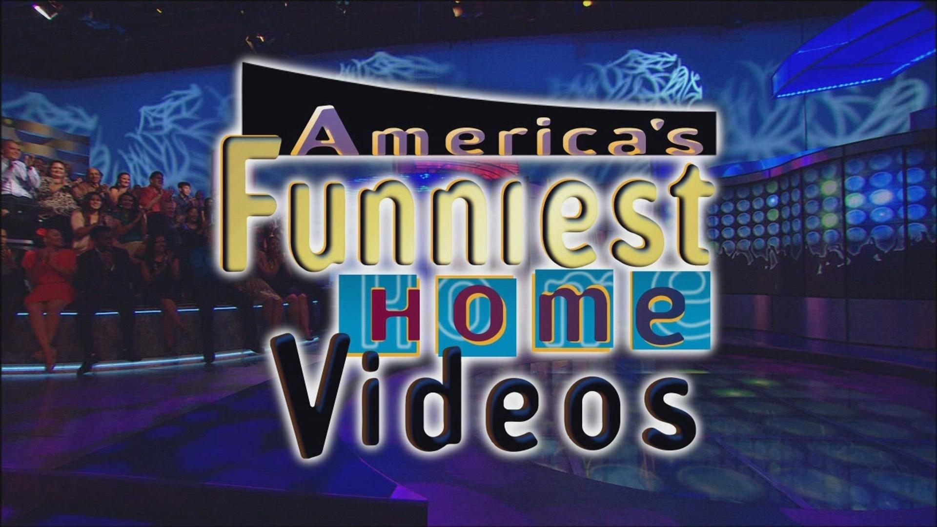 America's Funniest Home Videos