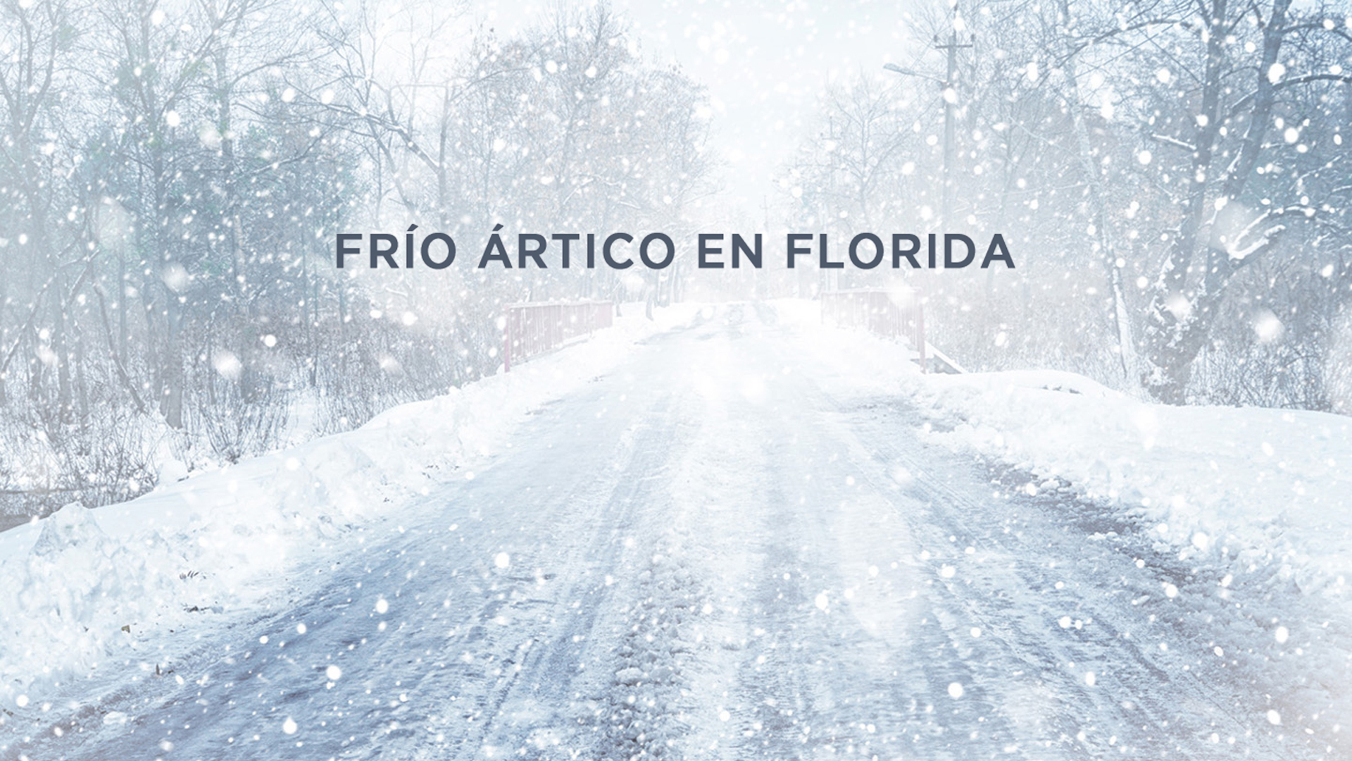 Frío ártico en Florida