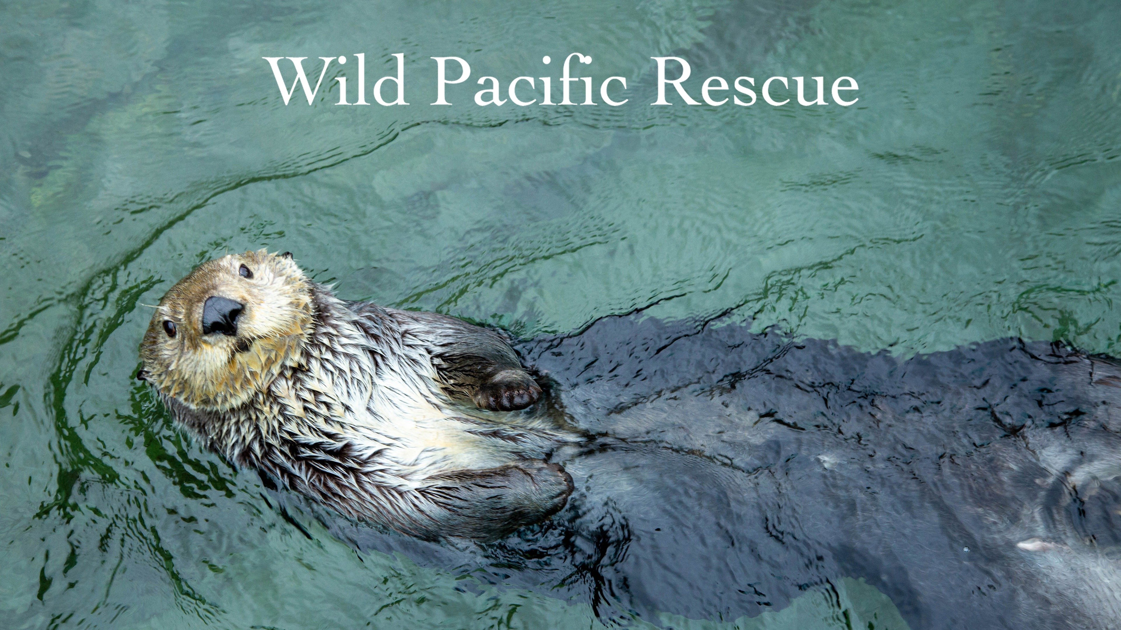 Wild Pacific Rescue