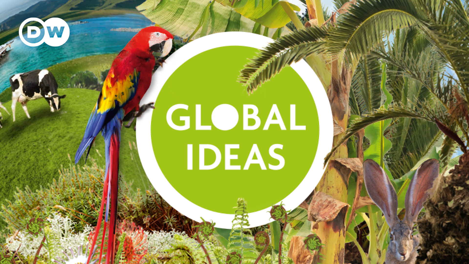 Global Ideas