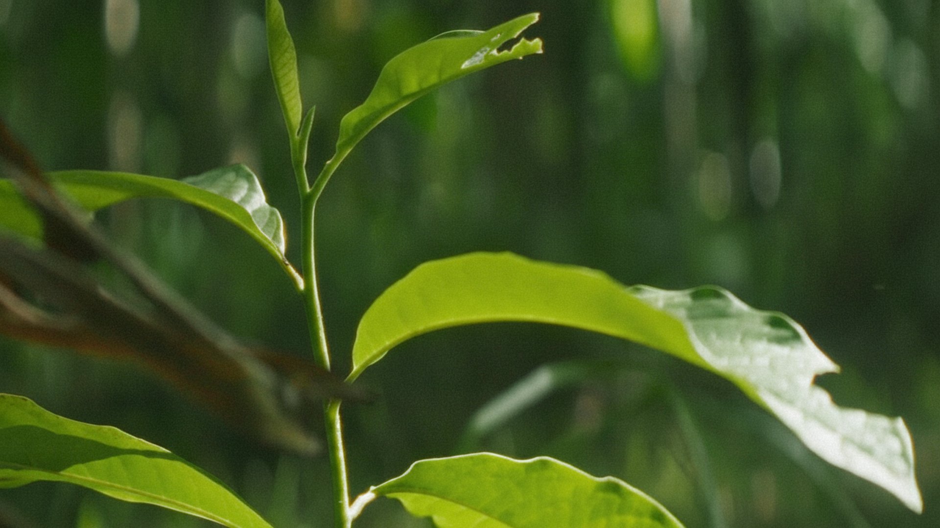 Groundwork: Building Community Through Regenerative Rubber