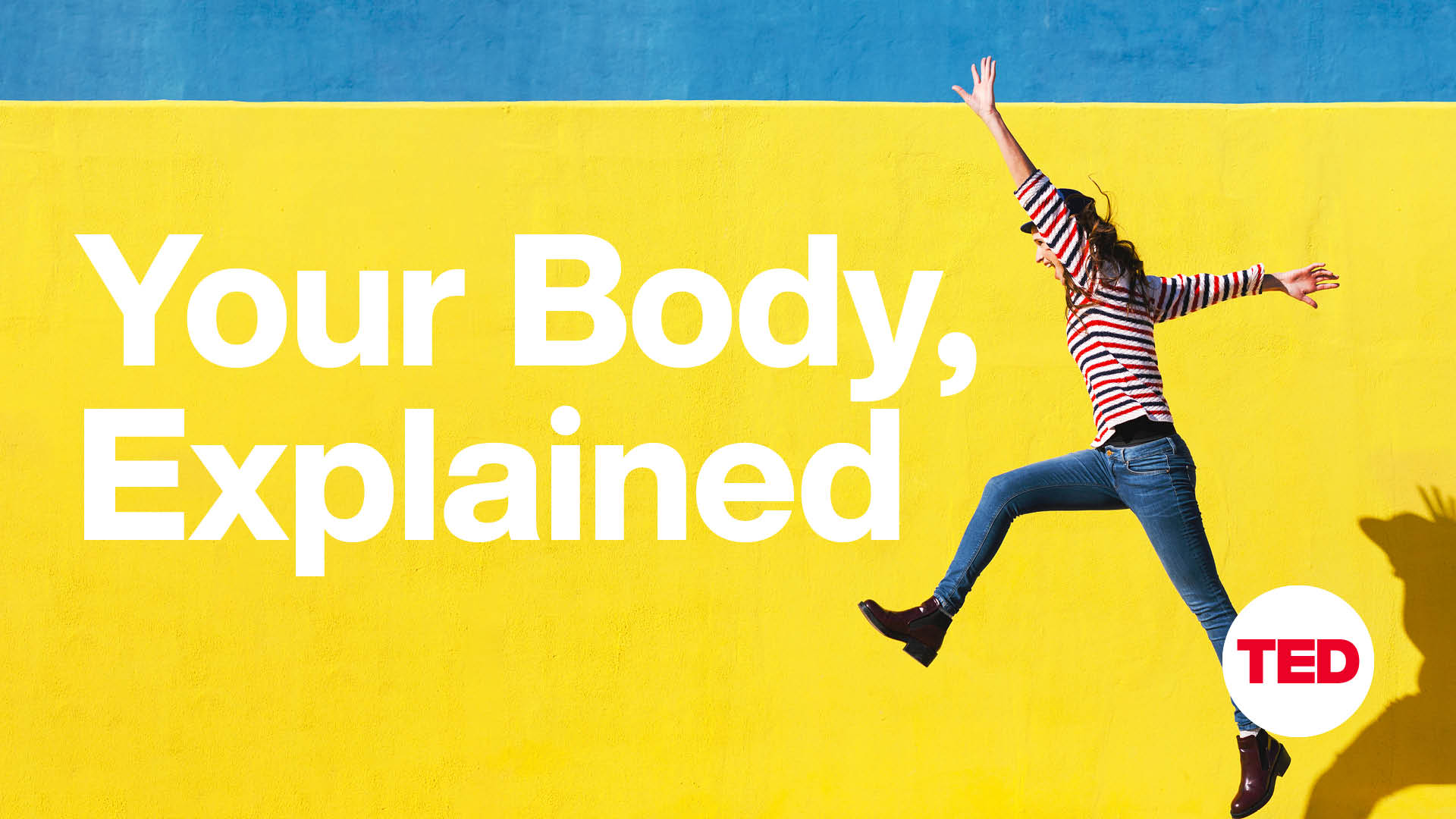 Your Body, Explained EP12