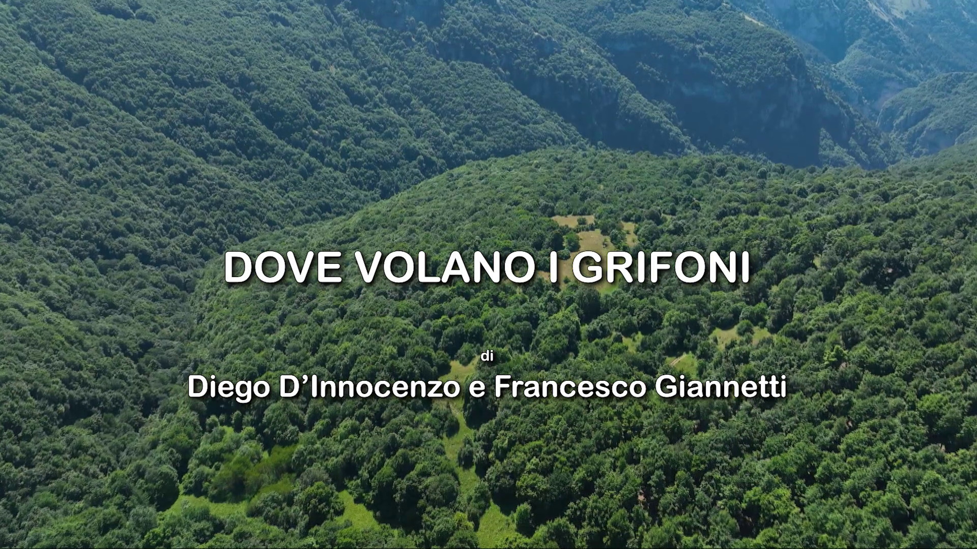 Dove Volano i Grifoni