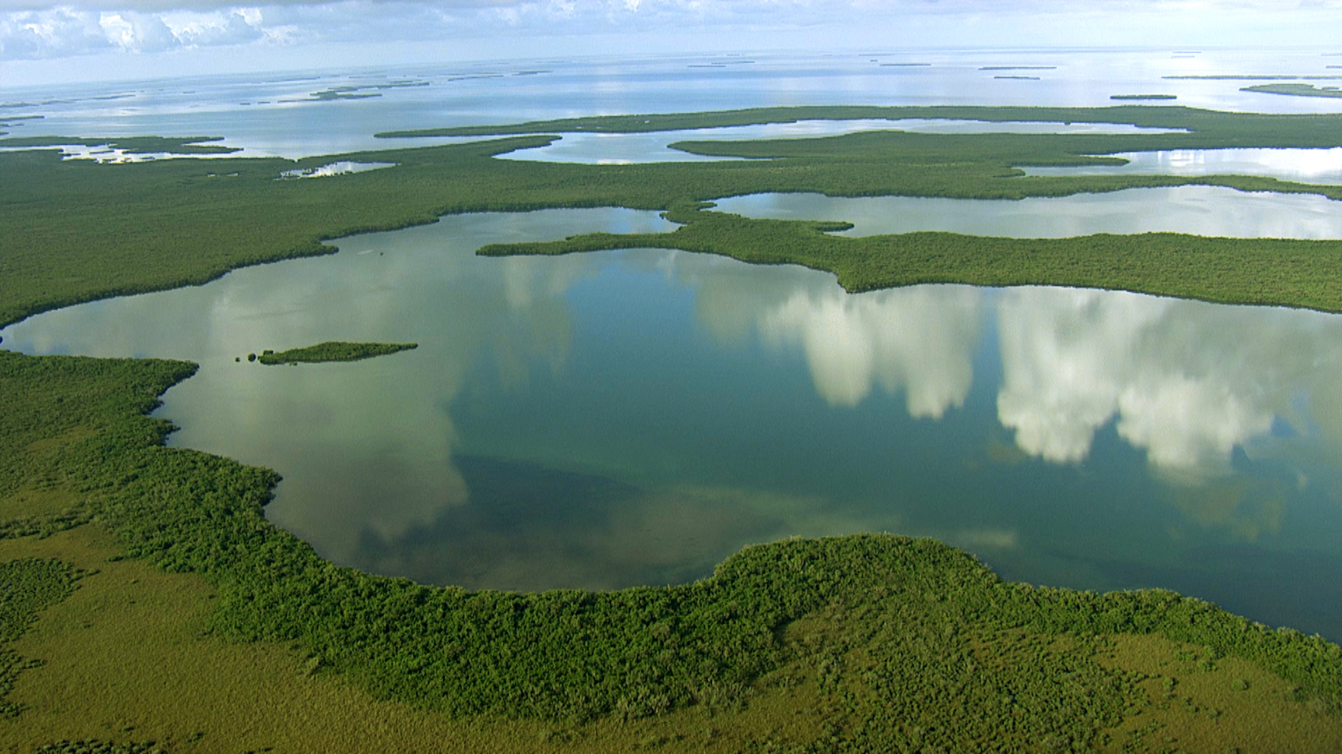 Der Everglades-Nationalpark